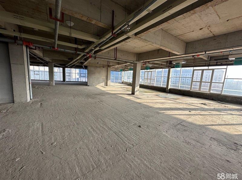 【核心区·仅此一席】2800㎡独栋,业主急售!无中介,直签好谈。业态不限,实力买家请速联,